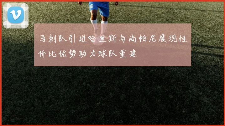 马刺队引进哈里斯与尚帕尼展现性价比优势助力球队重建