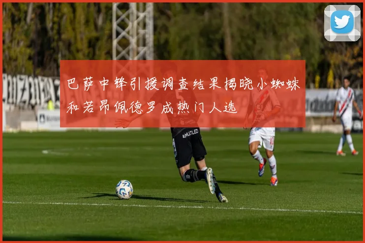 巴萨中锋引援调查结果揭晓小蜘蛛和若昂佩德罗成热门人选