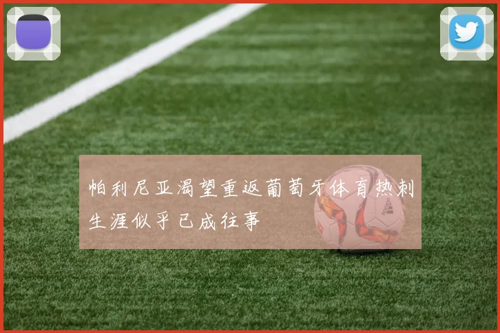 帕利尼亚渴望重返葡萄牙体育热刺生涯似乎已成往事